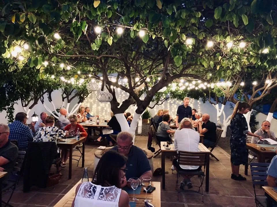 Evening under the citrus trees at Santiago’s Kitchen