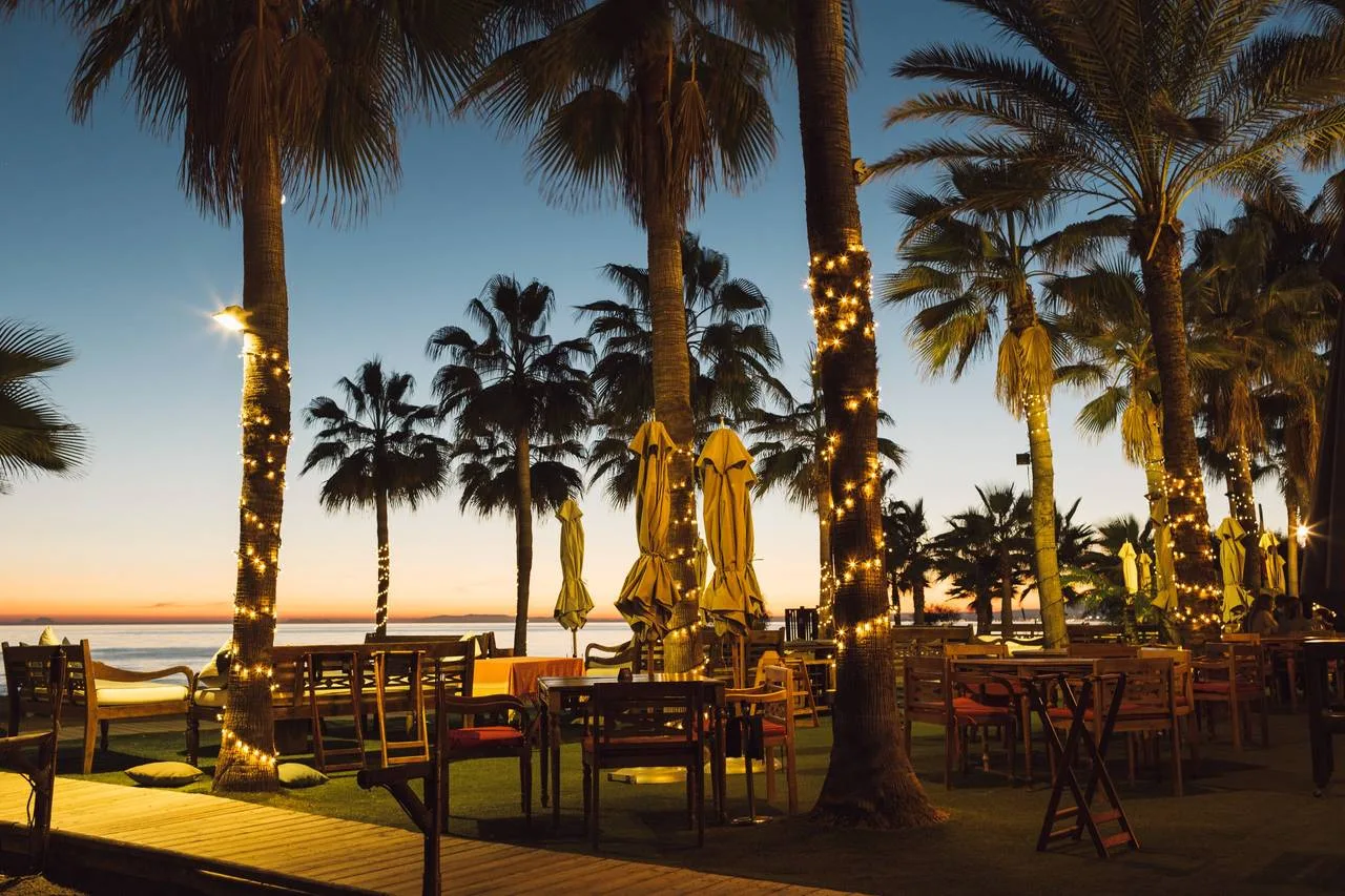 Fairy-lit palms at Trocadero at dusk