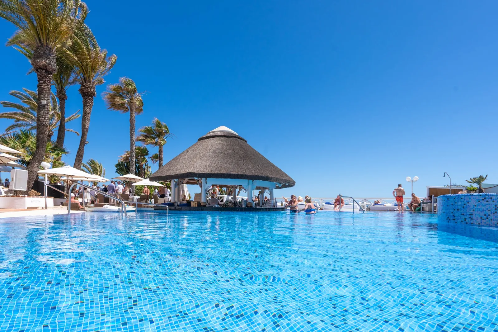 The swim-up bar from the water