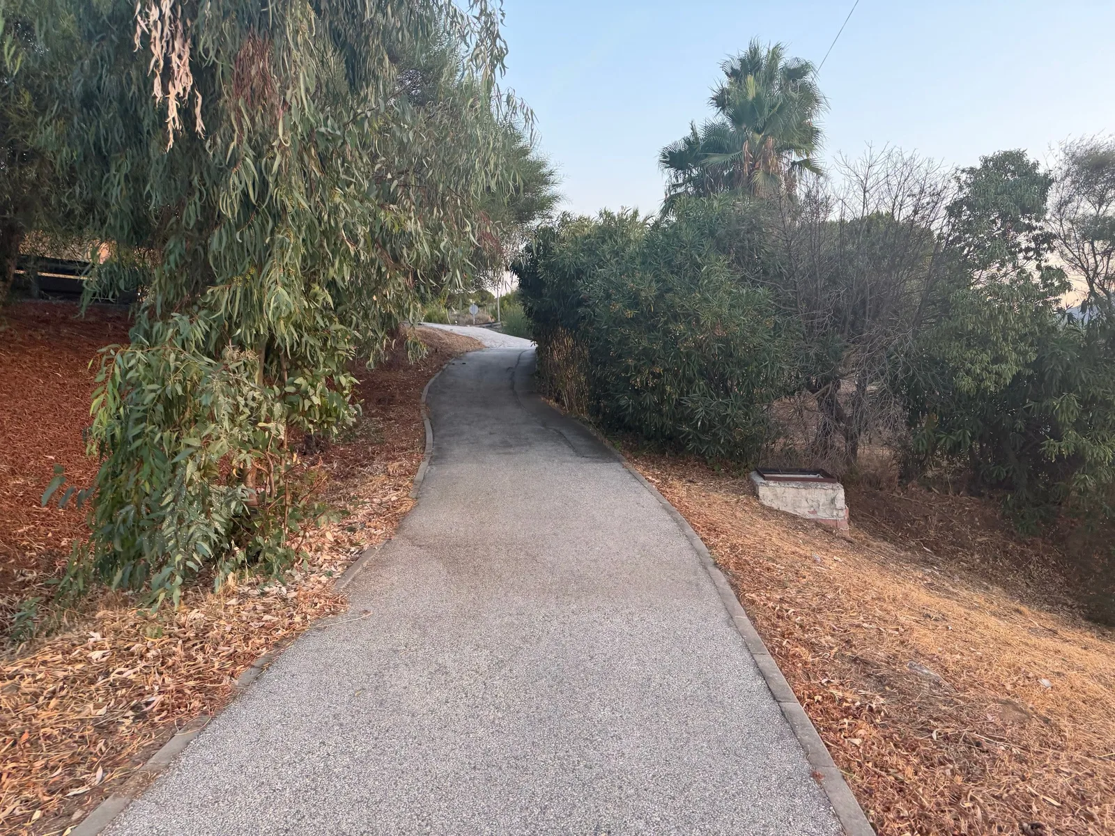 The dedicated path winding beside the road