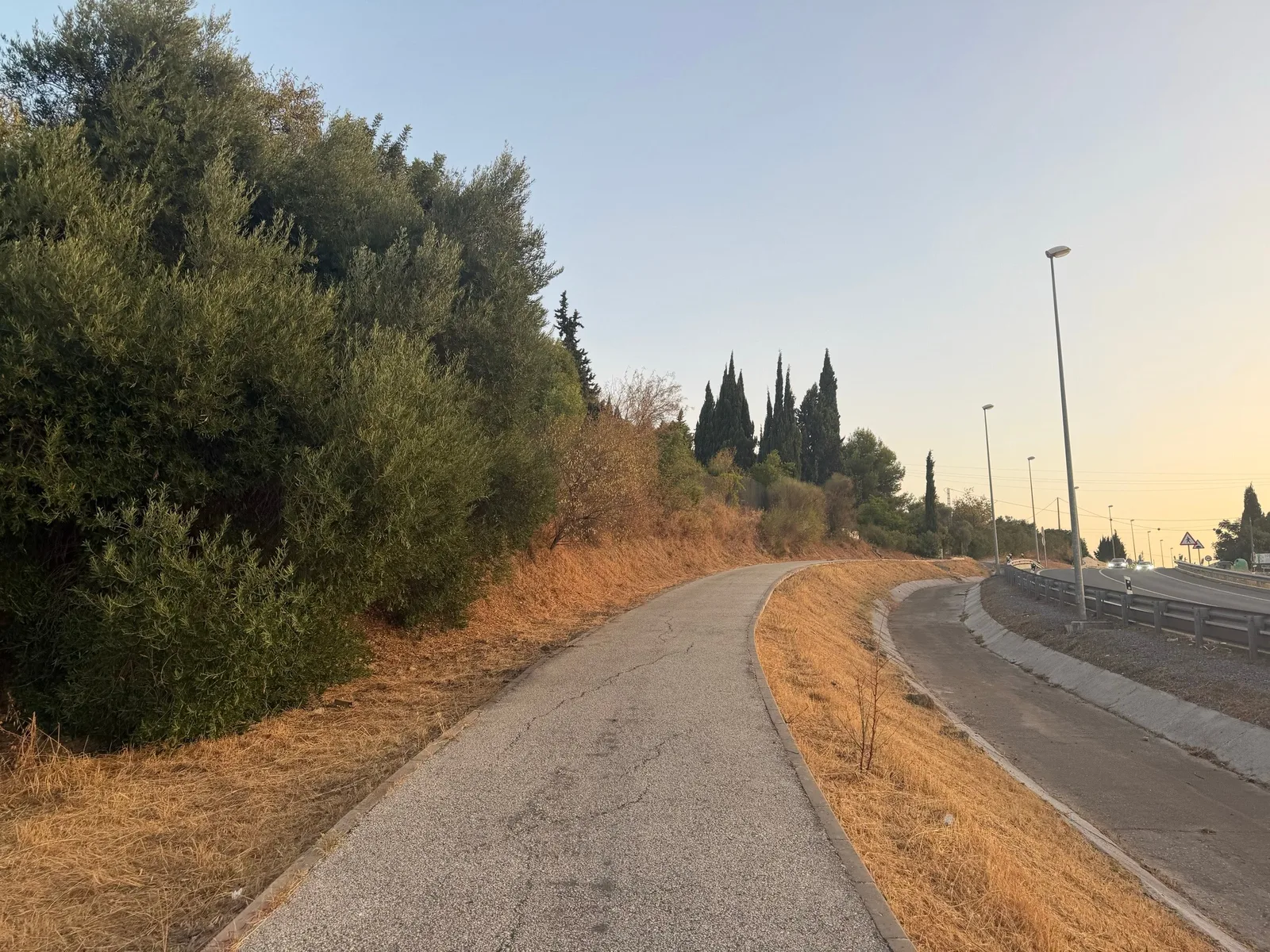 The path at golden hour