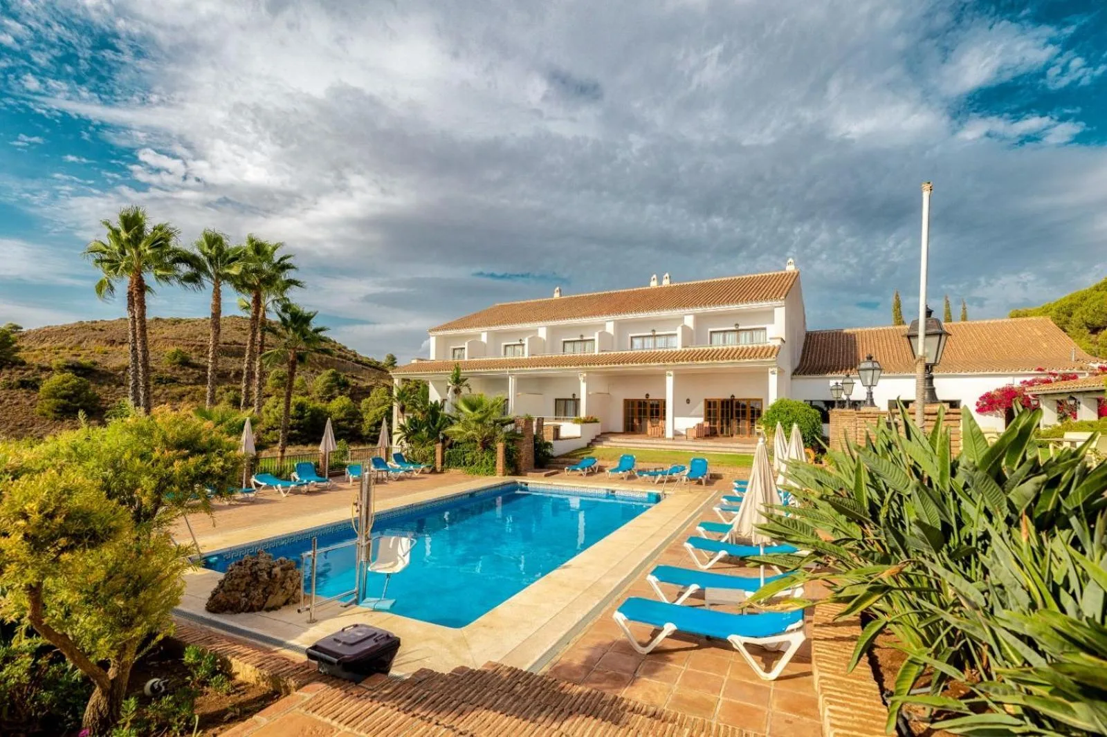 The hotel pool with sunbeds under the palms