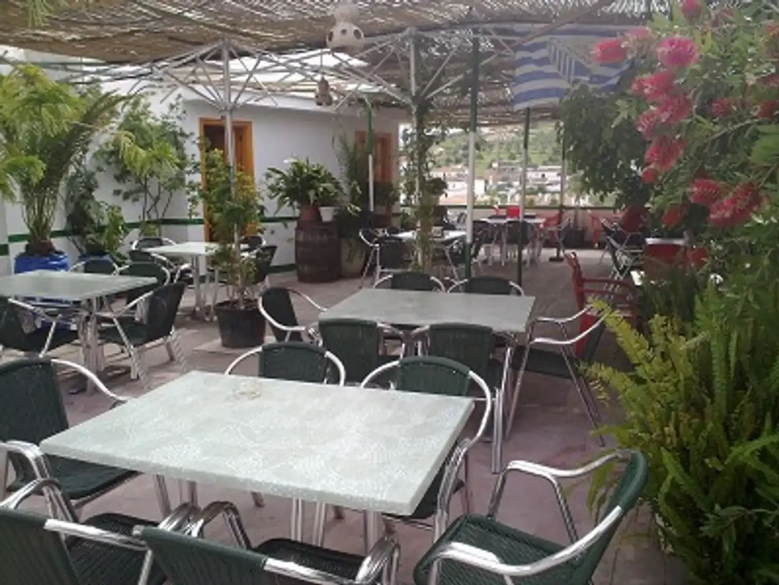 The plant-filled terrace under the cane roof