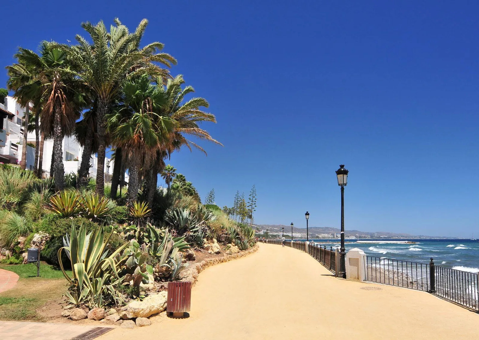 The sandy path along the shore
